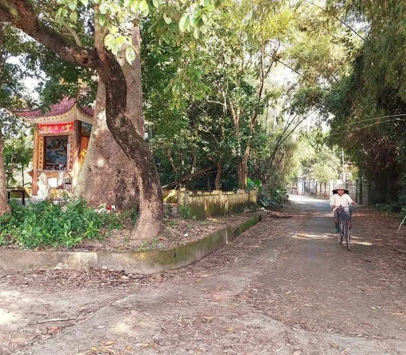 Du lịch l&agrave;ng cổ Phong Nam, h&agrave;nh tr&igrave;nh ngược d&ograve;ng thời gian 4