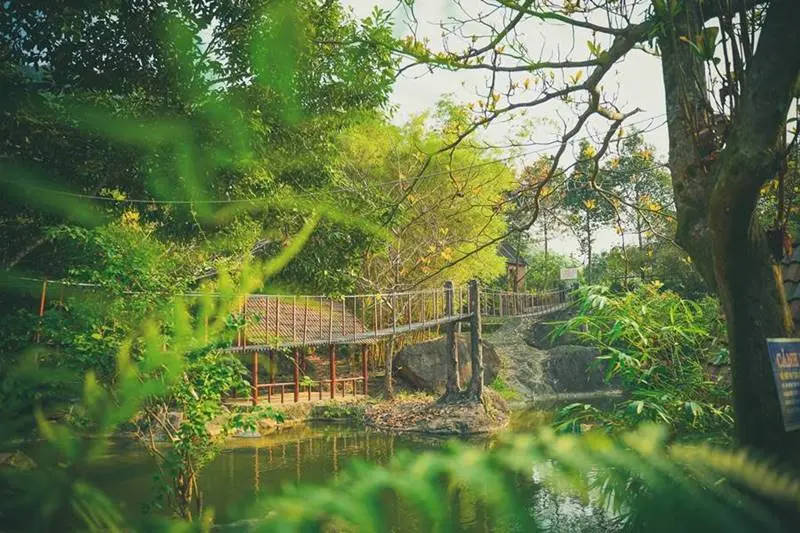 Du lịch sinh th&aacute;i Đ&agrave; Nẵng, h&agrave;nh tr&igrave;nh về với thi&ecirc;n nhi&ecirc;n 3