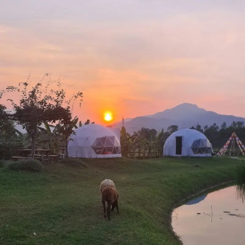 Hani Glamping Đà Nẵng trải nghiệm cắm trại tựa giữa miền Mông Cổ 5