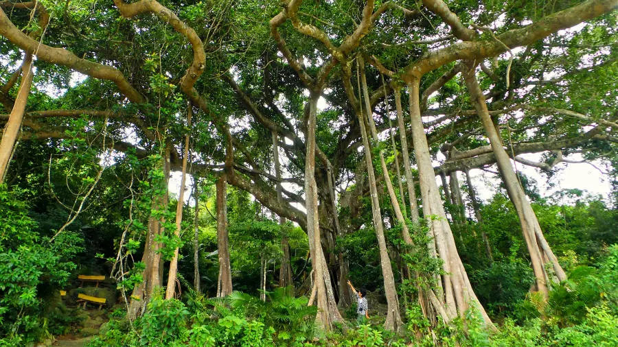 Kh&aacute;m ph&aacute; Đ&agrave; Nẵng thay đổi sau 10 năm c&ugrave;ng Nguyễn Thanh Tuấn 9
