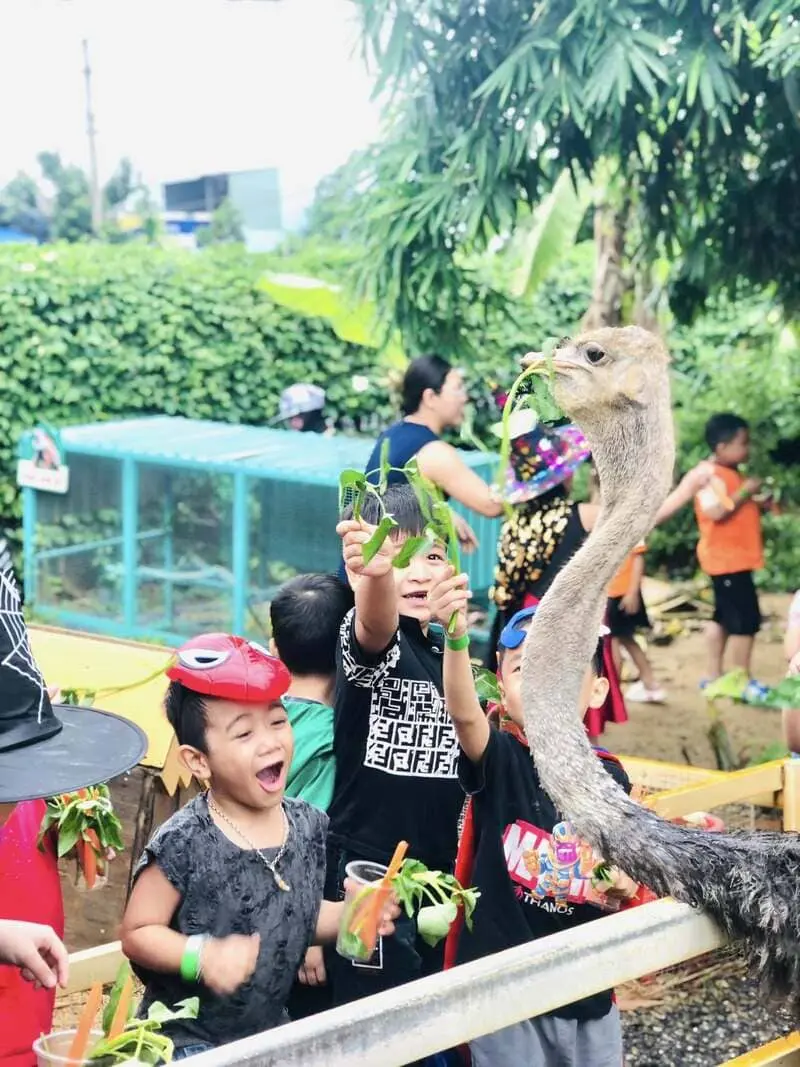 Top 7 khu vui chơi trẻ em ở Đ&agrave; Nẵng an to&agrave;n, hấp dẫn 5