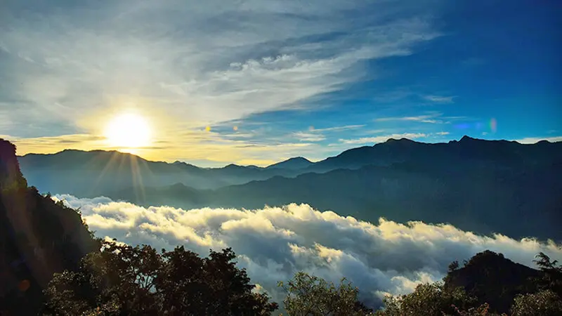 Đi t&agrave;u l&ecirc;n Alishan kh&aacute;m ph&aacute; miền ti&ecirc;n cảnh Đ&agrave;i Loan 7