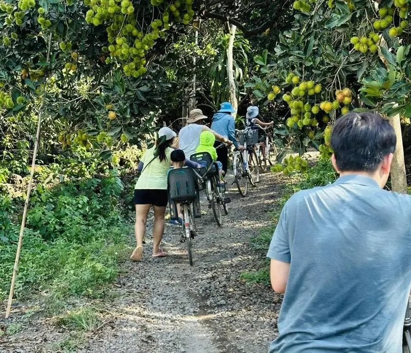 B&igrave;nh dị nơi Dốc Mơ Farm, kh&ocirc;ng gian an l&agrave;nh với n&ocirc;ng phẩm tươi ngon 6