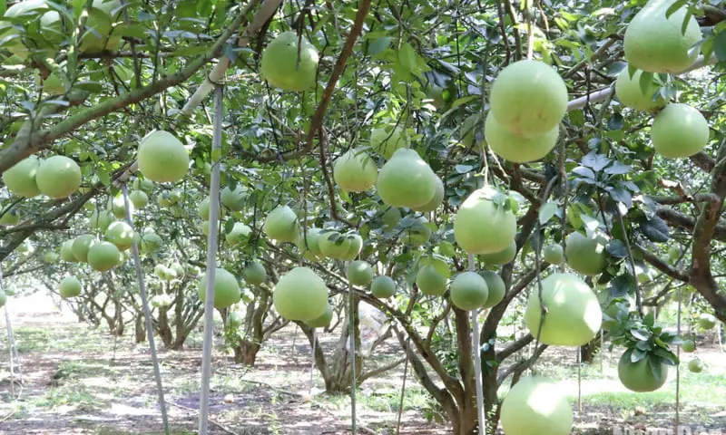 Kh&aacute;m ph&aacute; Đồng Nai c&oacute; g&igrave; chơi v&agrave; loạt điểm đến hấp dẫn 10