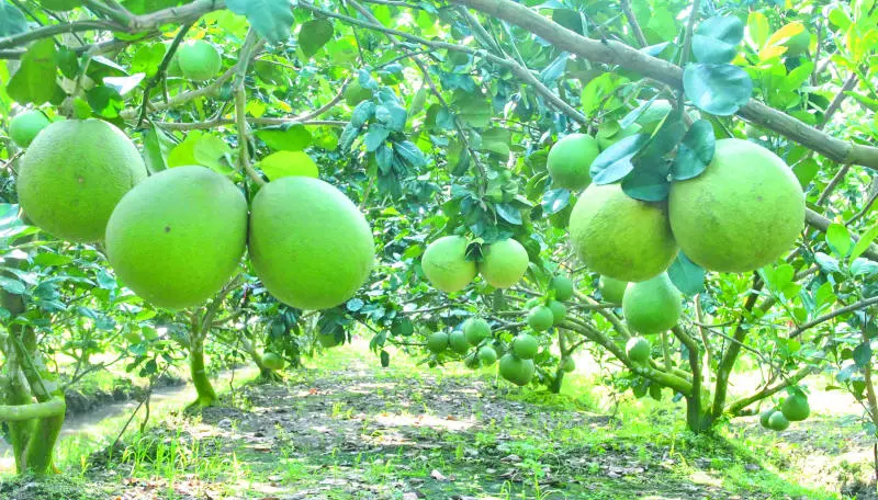 Th&aacute;c Đ&aacute; H&agrave;n, điểm vui chơi qu&ecirc;n lối về tại Đồng Nai 8