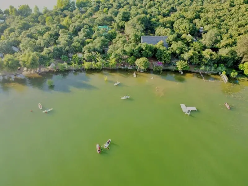 Về miền đất thanh b&igrave;nh Gạo Farmstay trải nghiệm nhiều điều th&uacute; vị 6