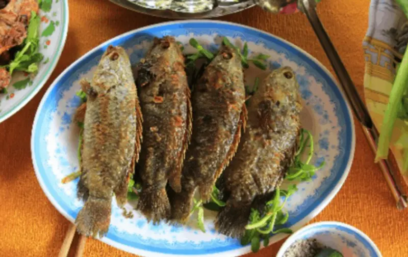 Vườn Quốc gia Nam C&aacute;t Ti&ecirc;n, &ldquo;m&atilde;n nh&atilde;n&rdquo; bởi thi&ecirc;n nhi&ecirc;n tươi đẹp 13