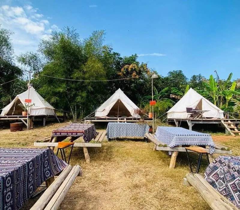 Về miền đất thanh bình Gạo Farmstay trải nghiệm nhiều điều thú vị