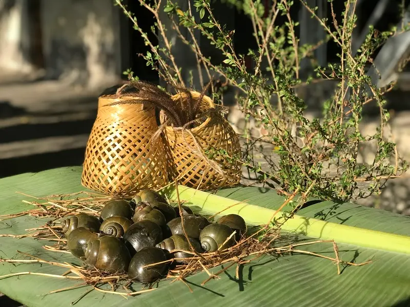 Hương vị ốc g&aacute;c bếp đậm đ&agrave; miền qu&ecirc; Đồng Th&aacute;p 9