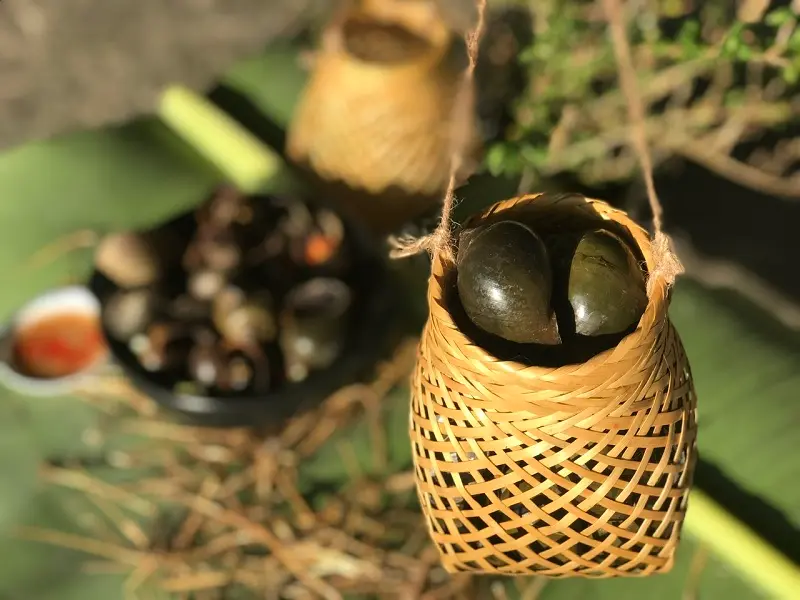 Hương vị ốc g&aacute;c bếp đậm đ&agrave; miền qu&ecirc; Đồng Th&aacute;p 10
