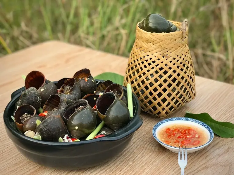 Hương vị ốc g&aacute;c bếp đậm đ&agrave; miền qu&ecirc; Đồng Th&aacute;p 6