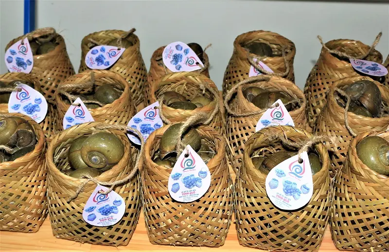 Hương vị ốc g&aacute;c bếp đậm đ&agrave; miền qu&ecirc; Đồng Th&aacute;p 11