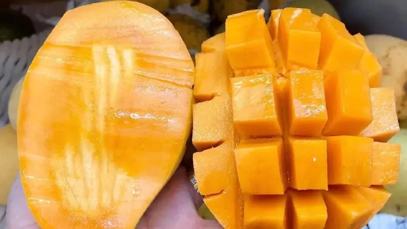 Xo&agrave;i C&aacute;t Chu Đồng Th&aacute;p: Tinh hoa tr&aacute;i ngọt miền T&acirc;y 5