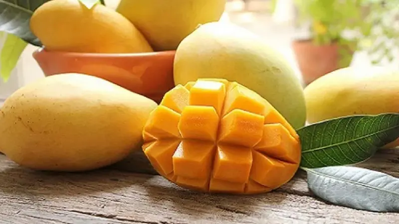 Xo&agrave;i C&aacute;t Chu Đồng Th&aacute;p: Tinh hoa tr&aacute;i ngọt miền T&acirc;y 8