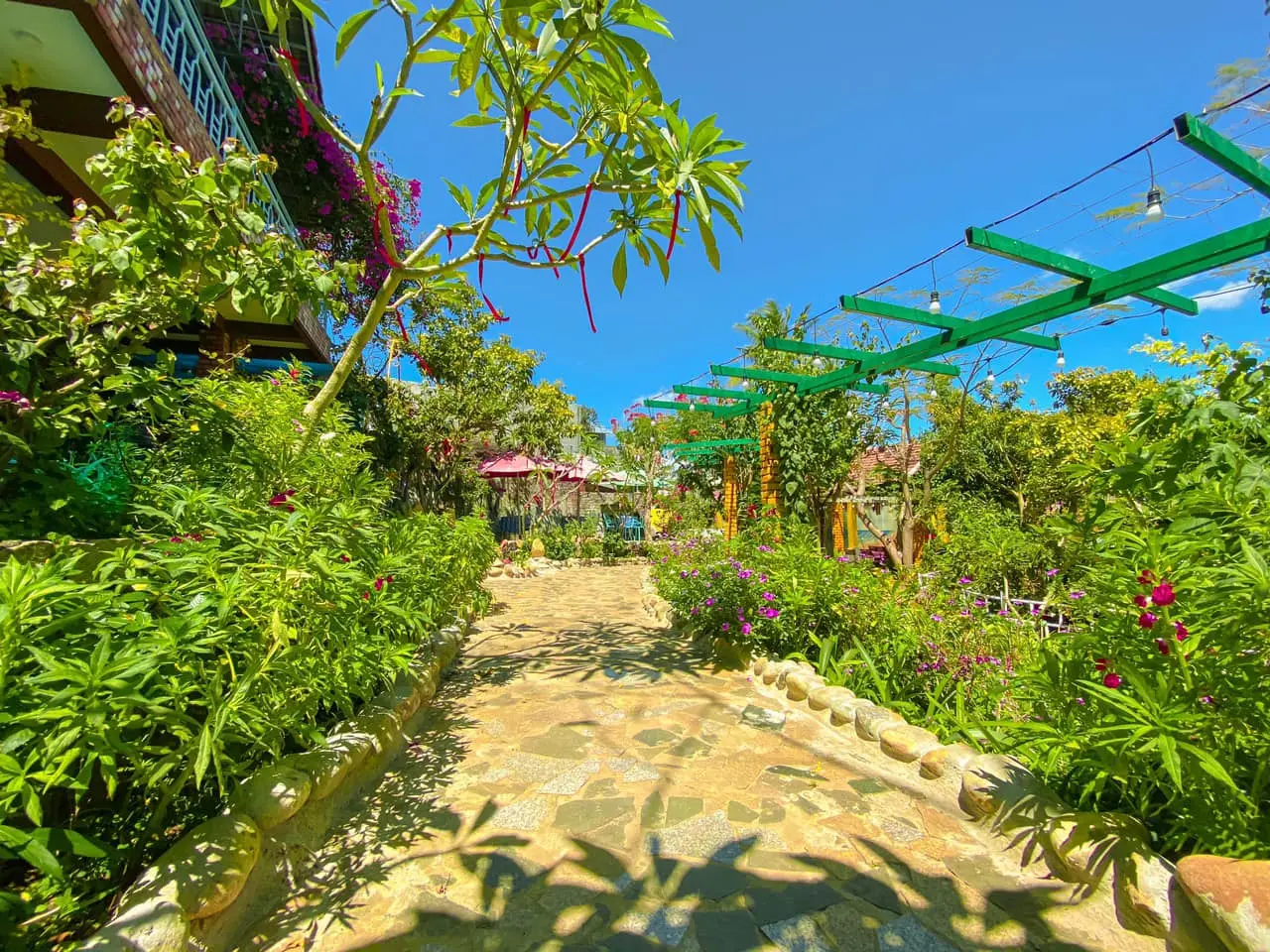 Bốn Mùa Garden Coffee House and Tea Leaf, cảm nhận Đà Lạt tại Pleiku