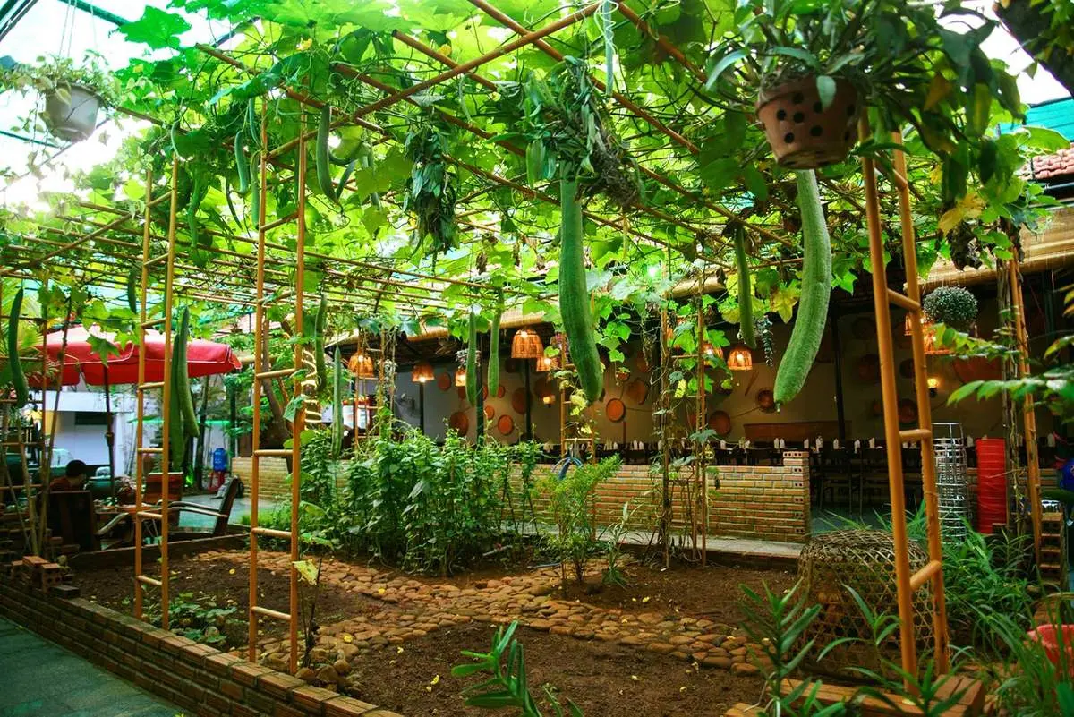 Gh&eacute; Cơm ni&ecirc;u Mộc Gia Lai thưởng thức tinh t&uacute;y ẩm thực Việt 5