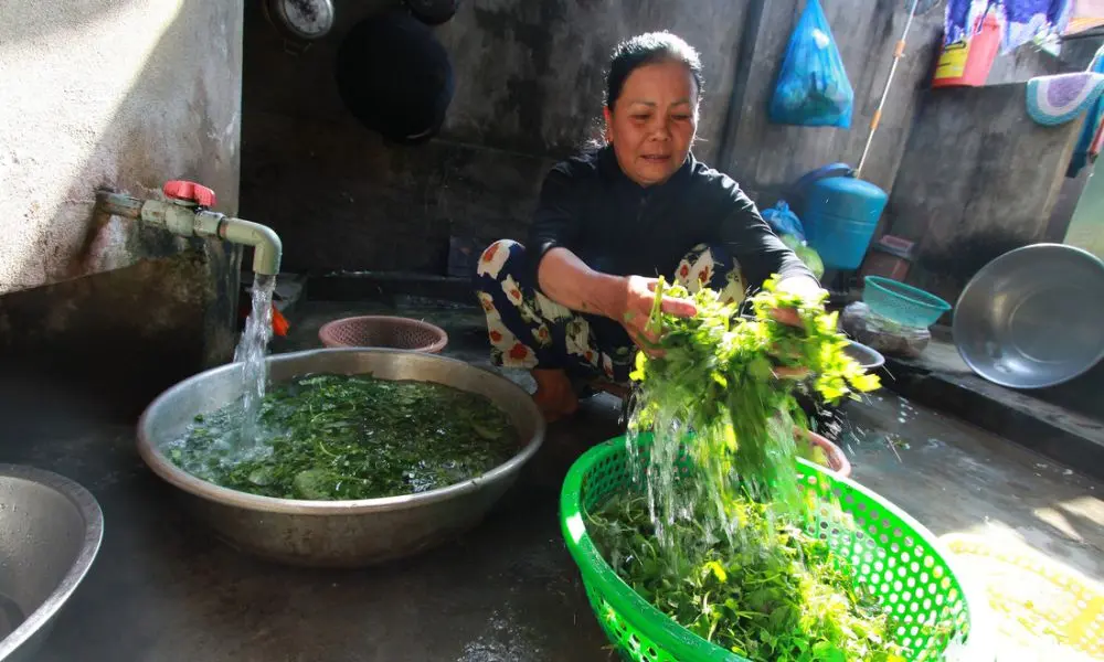 Gh&eacute; Qu&aacute;n m&igrave; quảng Ph&uacute; Chi&ecirc;m Pleiku nổi tiếng gần xa 4