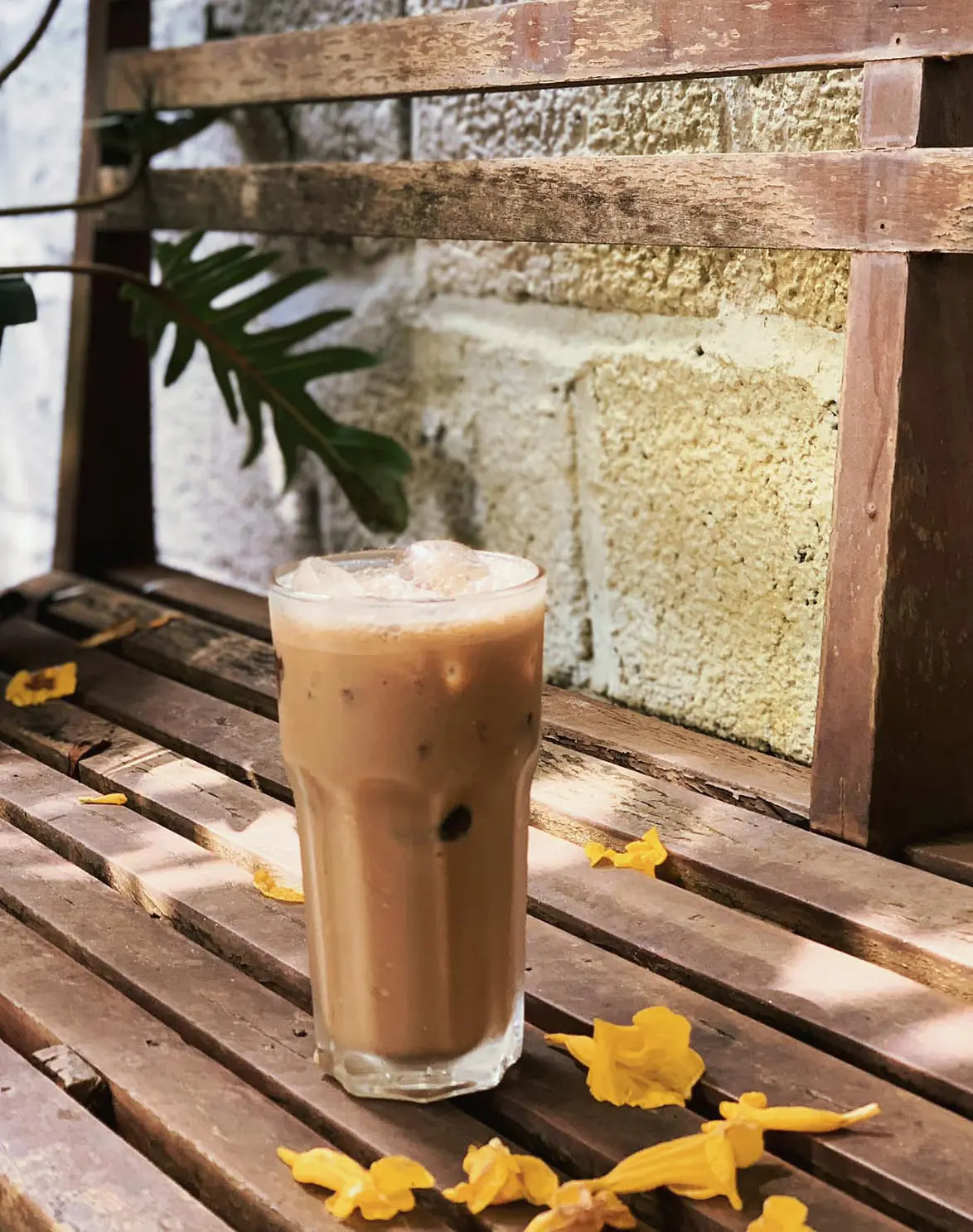 Maya Coffee, kh&ocirc;ng gian xanh b&igrave;nh y&ecirc;n giữa phố n&uacute;i Gia Lai 9