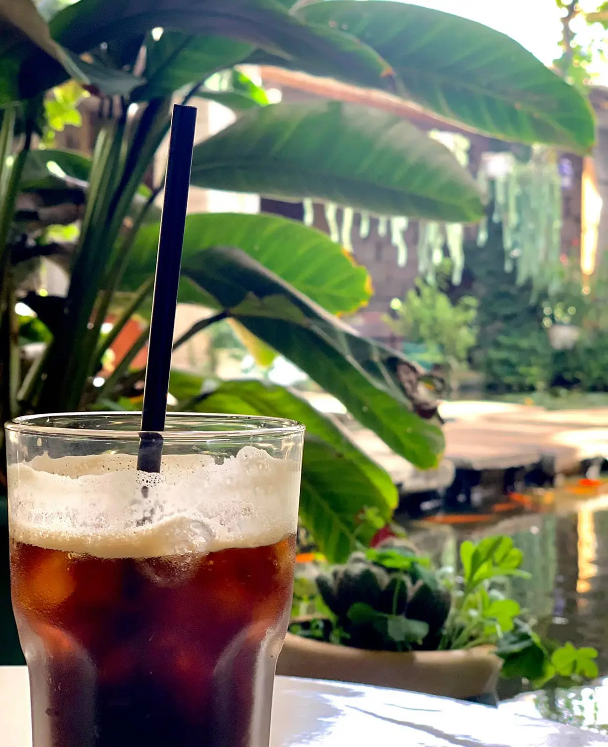 Maya Coffee, kh&ocirc;ng gian xanh b&igrave;nh y&ecirc;n giữa phố n&uacute;i Gia Lai 8