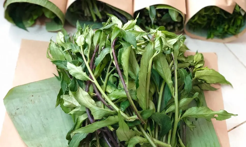 M&oacute;n lẩu l&aacute; rừng Gia Lai độc đ&aacute;o m&agrave; bạn nhất định phải thử 5