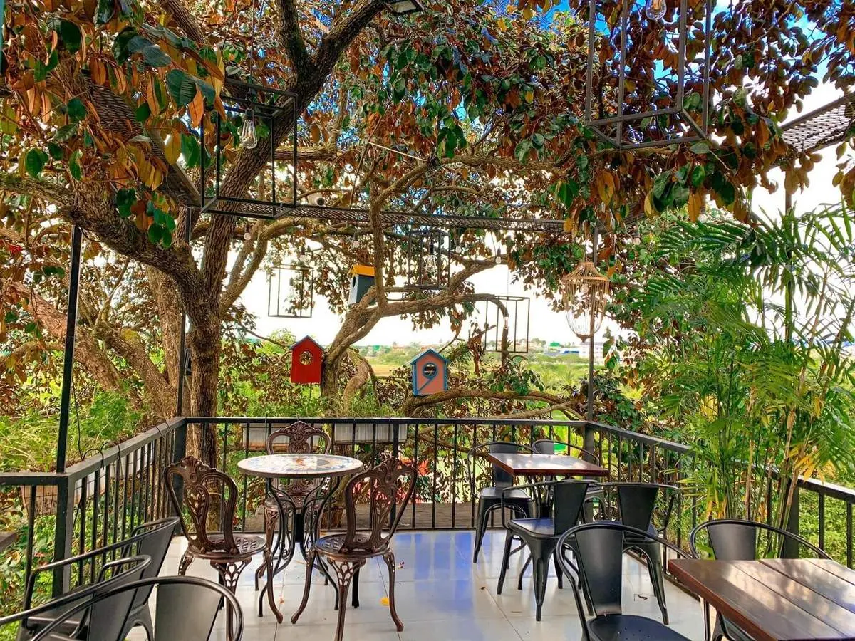 Ngon Avatar Coffee Garden Teahouse, ng&ocirc;i nh&agrave; c&agrave; ph&ecirc; xinh đẹp tại Pleiku 5