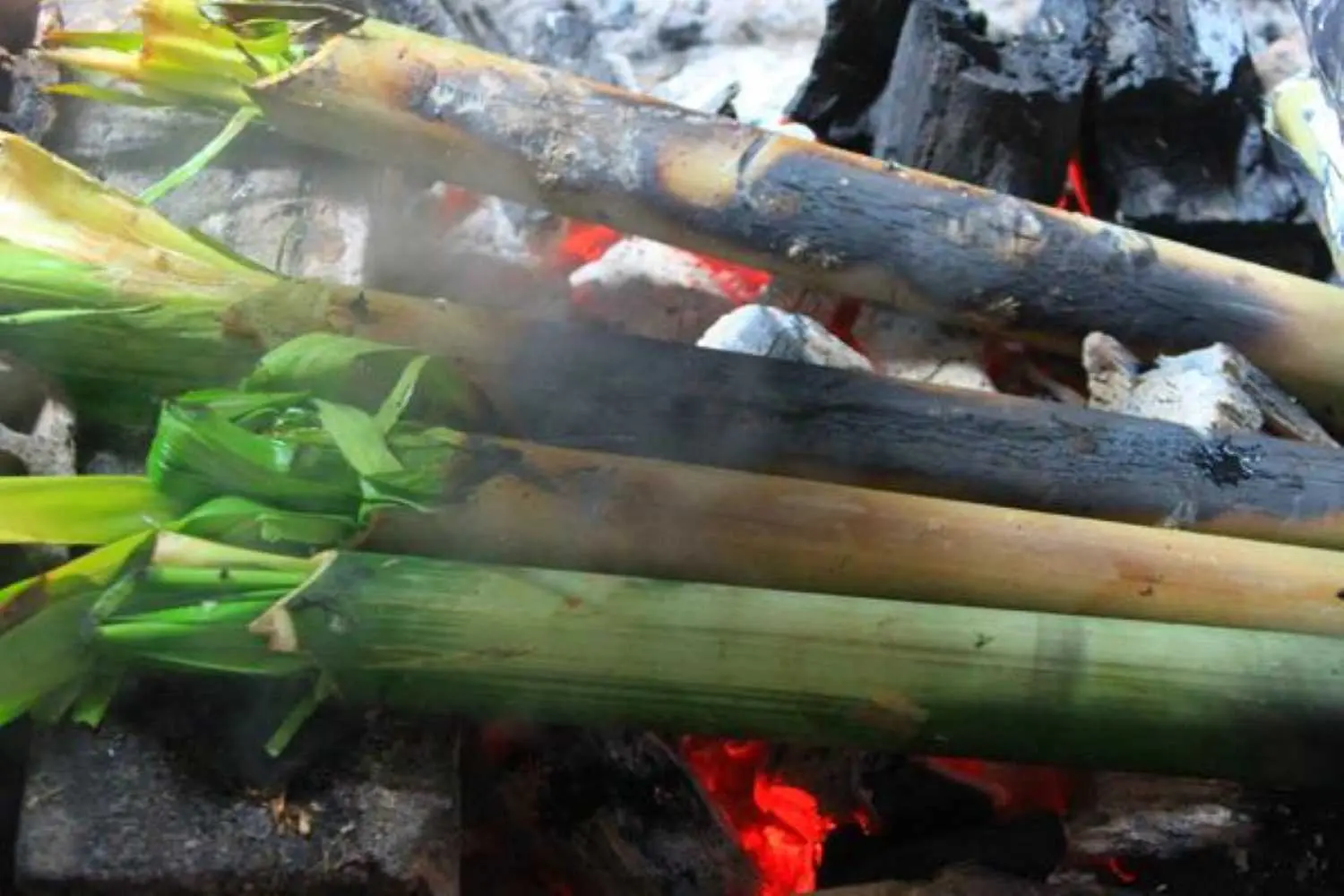 Thưởng thức b&ograve; nướng ống tre, đặc sản nổi tiếng ở Pleiku 2