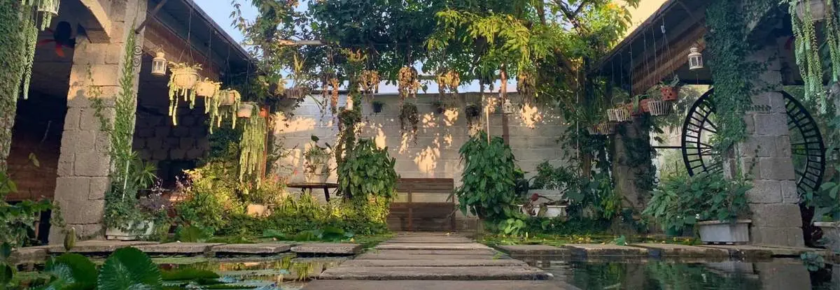 Maya Coffee, không gian xanh bình yên giữa phố núi Gia Lai