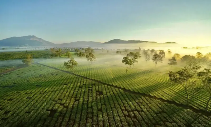 Bật m&iacute; Gia Lai c&oacute; g&igrave; chơi cho chuyến đi th&ecirc;m trọn vẹn 5