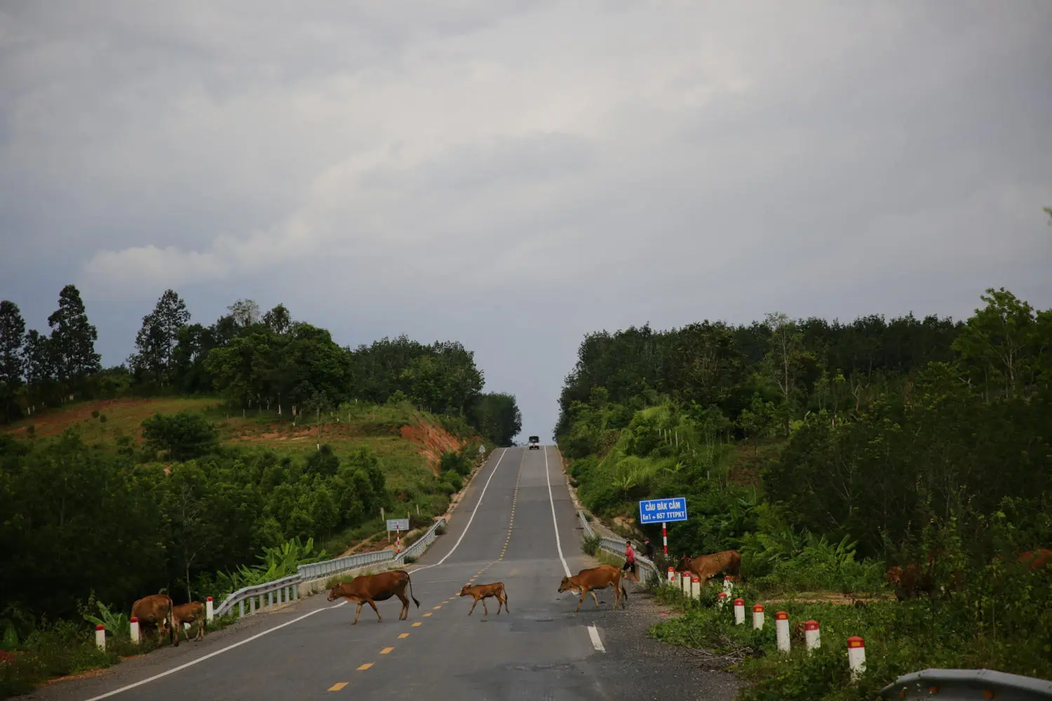 Dạo quanh Biển hồ Pleiku h&ograve;a m&igrave;nh v&agrave;o thi&ecirc;n nhi&ecirc;n trong l&agrave;nh 5