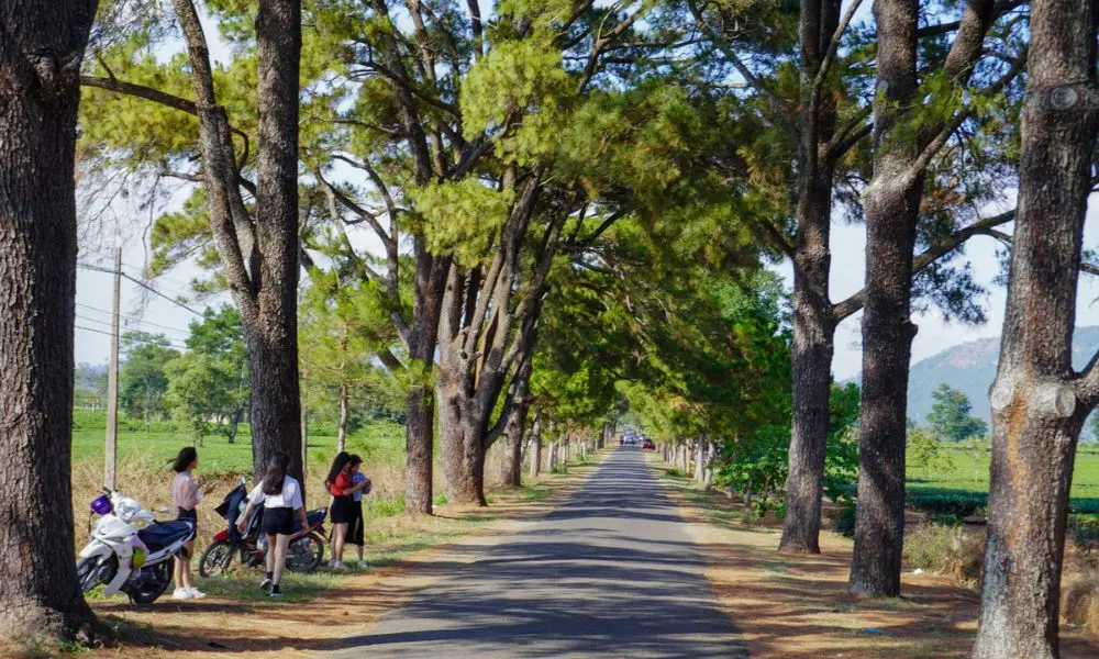 Review Pleiku Gia Lai v&agrave; những trải nghiệm c&oacute; một kh&ocirc;ng hai 2