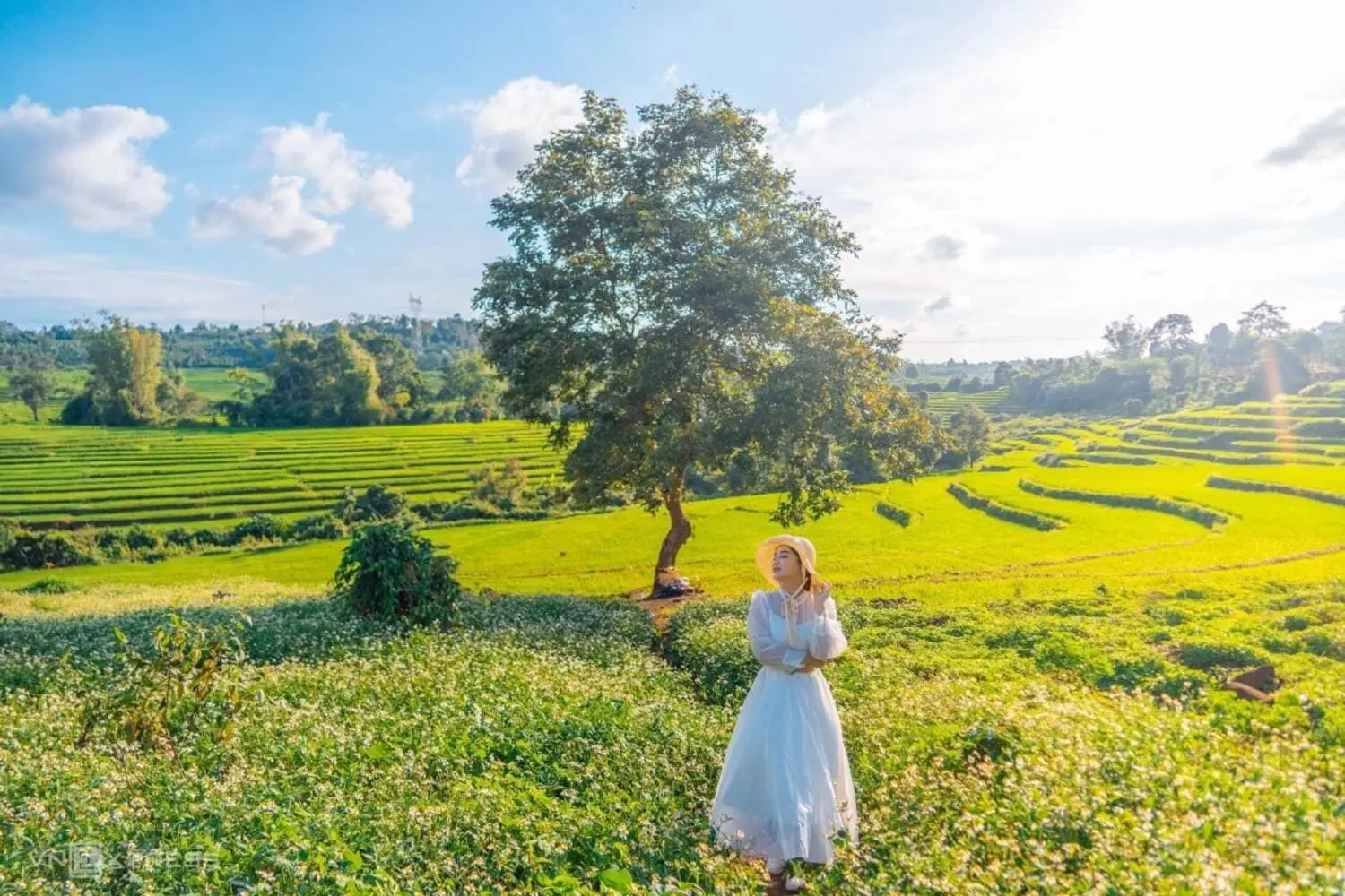 Lịch tr&igrave;nh đi Măng Đen 3N2Đ tự t&uacute;c c&ugrave;ng những trải nghiệm cực th&uacute; vị 7