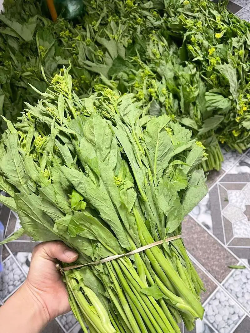 L&agrave;m sao qu&ecirc;n được l&uacute;c thớ lưỡi cay nồng với m&oacute;n rau cải cay H&agrave; Giang 5