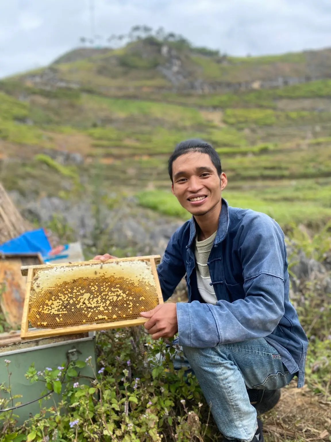 Mật ong bạc h&agrave; H&agrave; Giang - Thực phẩm v&agrave;ng nơi cao nguy&ecirc;n đ&aacute; 5