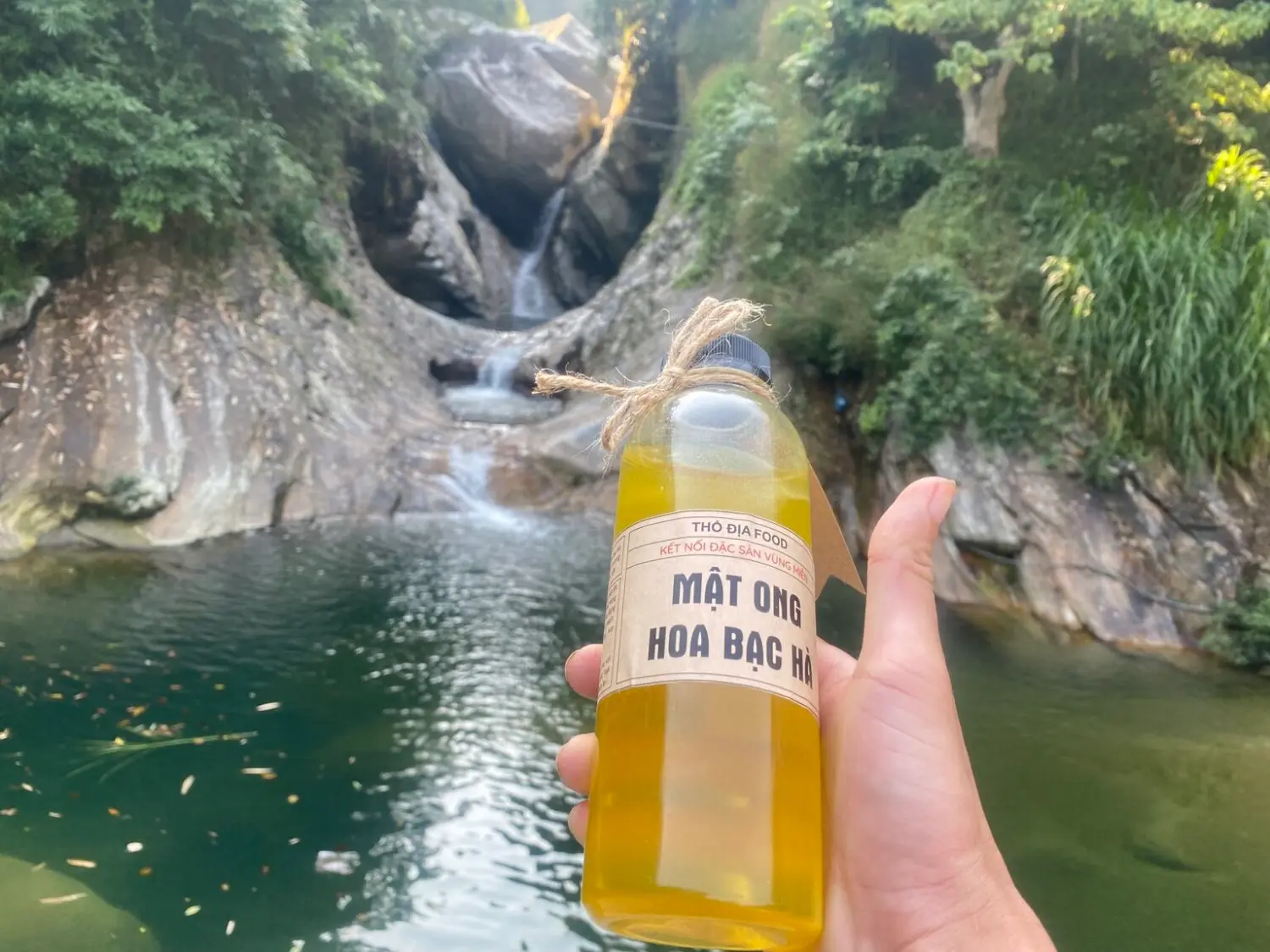 Mật ong bạc h&agrave; H&agrave; Giang - Thực phẩm v&agrave;ng nơi cao nguy&ecirc;n đ&aacute; 7