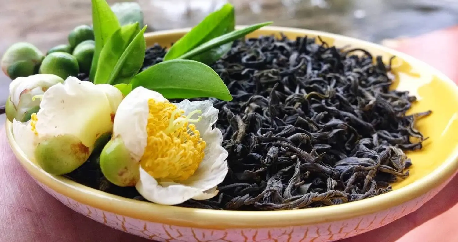 Thưởng Ch&egrave; Shan Tuyết H&agrave; Giang trong một ng&agrave;y se lạnh 8