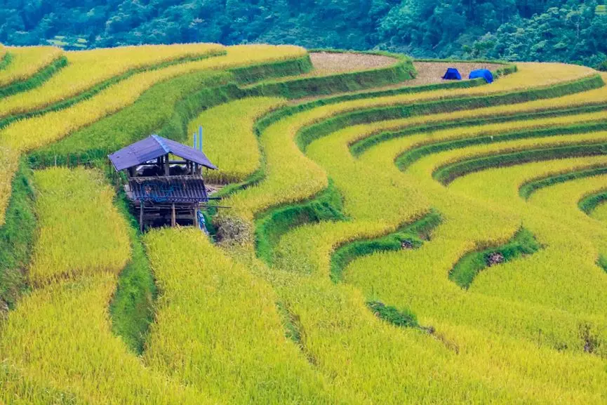 Về H&agrave; Giang, nhớ thưởng thức đặc sản thịt chuột La Ch&iacute; khiến bao người kh&oacute;c th&eacute;t 4