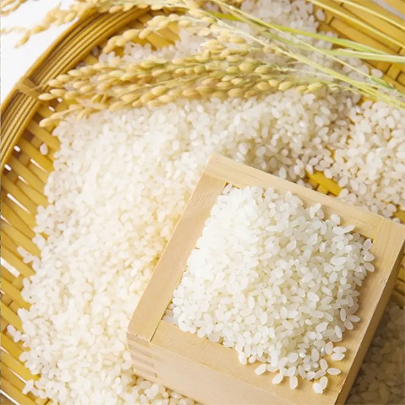 Về H&agrave; Giang, thưởng thức đặc sản gạo Gi&agrave; Dui X&iacute;n Mần lu&ocirc;n ch&aacute;y h&agrave;ng 7