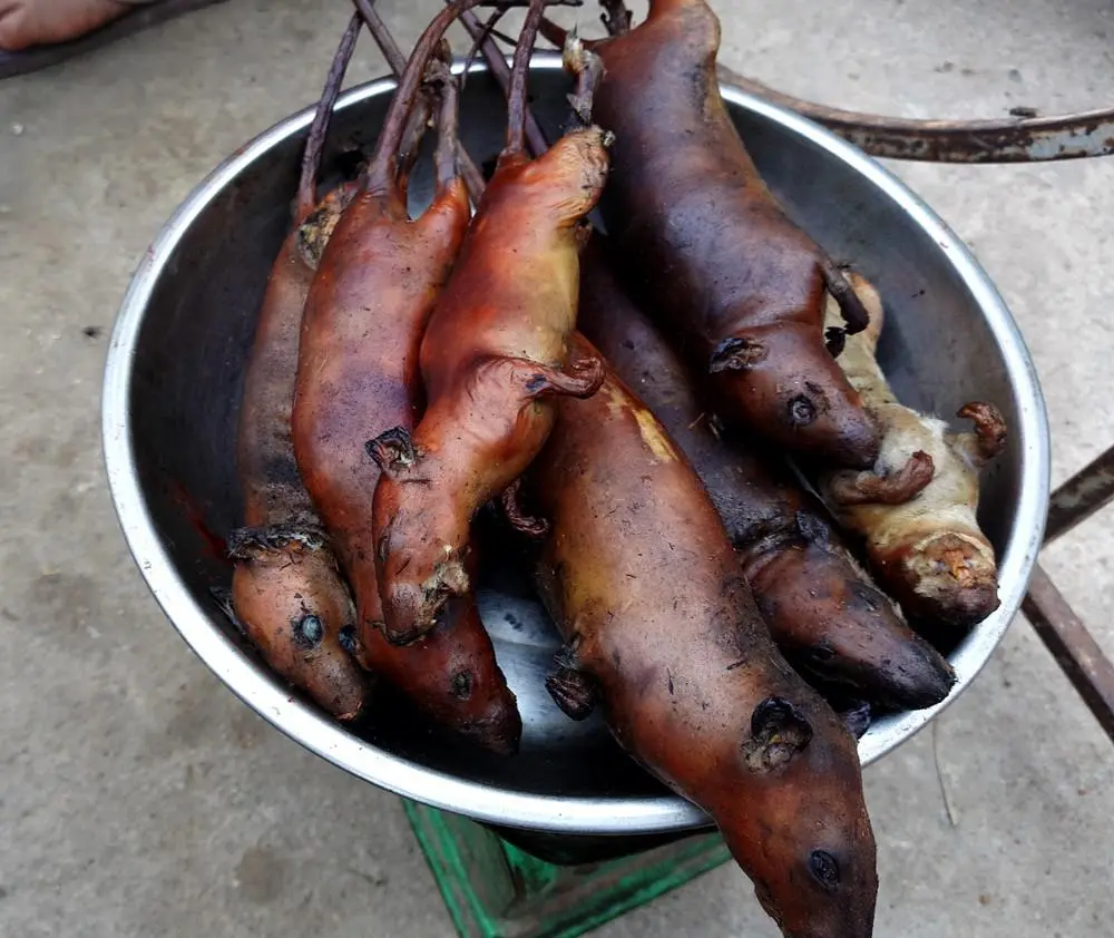 Về Hà Giang, nhớ thưởng thức đặc sản thịt chuột La Chí khiến bao người khóc thét
