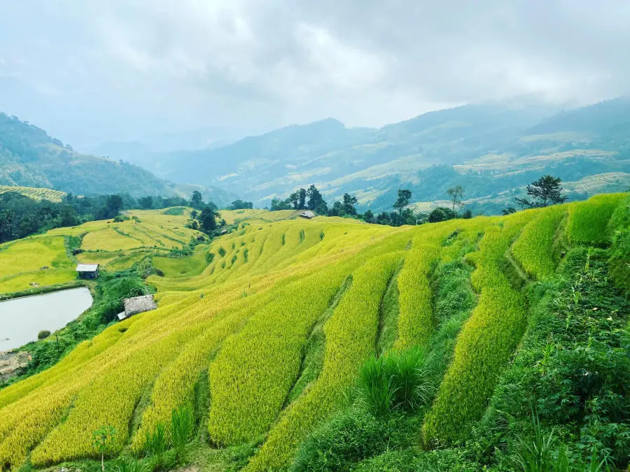 H&agrave; Giang th&aacute;ng 10 đẹp m&ecirc; hồn đốn tim những t&iacute;n đồ m&ecirc; x&ecirc; dịch 5