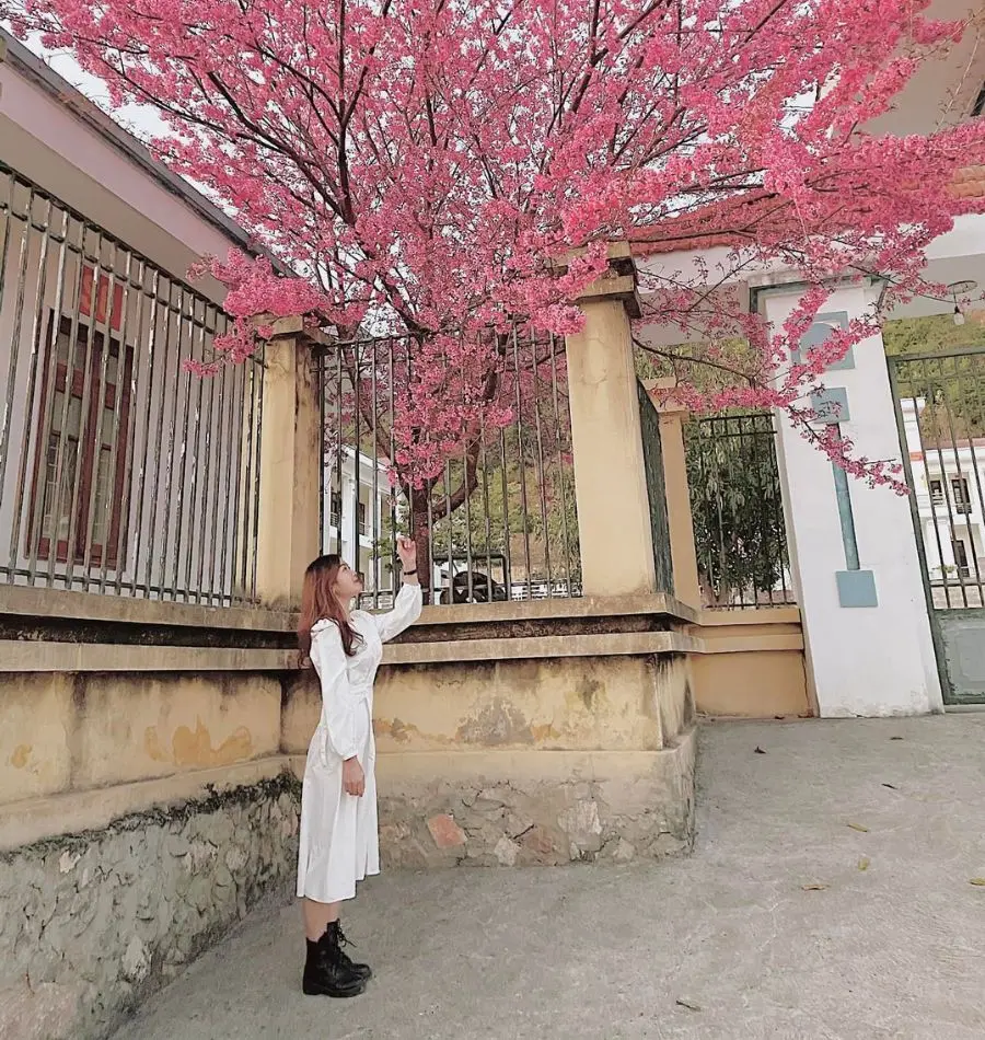 Kh&aacute;m ph&aacute; H&agrave; Giang 2N1D c&ugrave;ng những điểm đến đầy th&uacute; vị 4