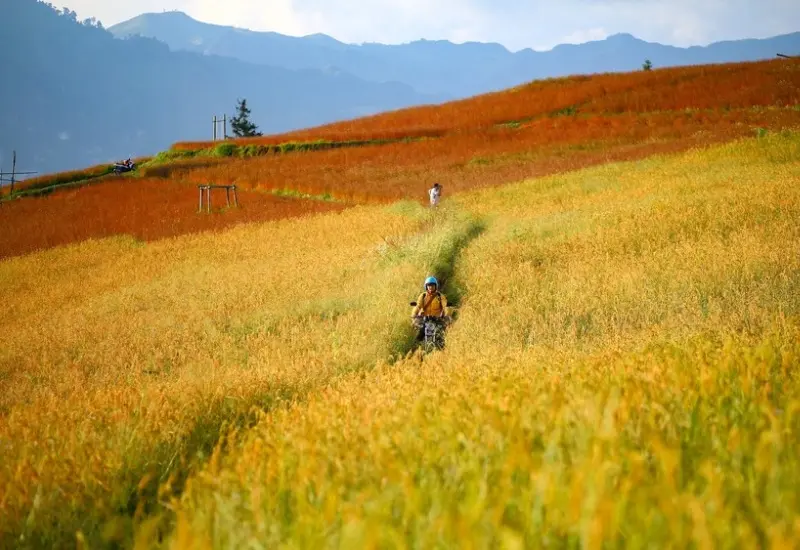 Kh&aacute;m ph&aacute; Su&ocirc;i Thầu: &ldquo;Thảo nguy&ecirc;n ch&acirc;u &Acirc;u&rdquo; giữa l&ograve;ng H&agrave; Giang 4