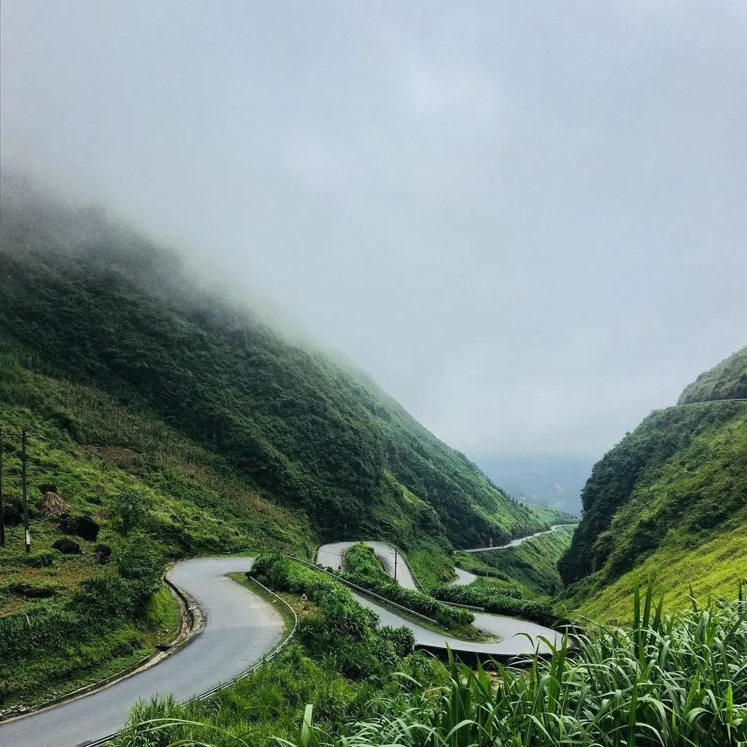 Lắng nghe Hoa Hana review dốc Thẩm M&atilde; qua c&aacute;c m&ugrave;a hoa 10