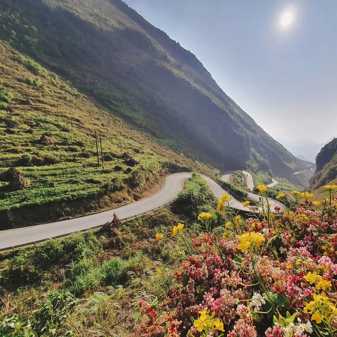 Lắng nghe Hoa Hana review dốc Thẩm M&atilde; qua c&aacute;c m&ugrave;a hoa 5