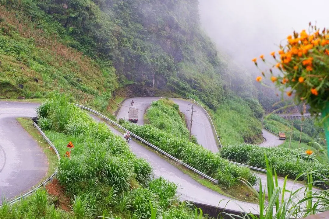Lắng nghe Hoa Hana review dốc Thẩm M&atilde; qua c&aacute;c m&ugrave;a hoa 9