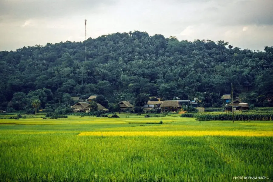 L&agrave;ng qu&ecirc; H&agrave; Giang y&ecirc;n b&igrave;nh v&agrave;o mỗi buổi chiều tr&ecirc;n cao nguy&ecirc;n đ&aacute; 11