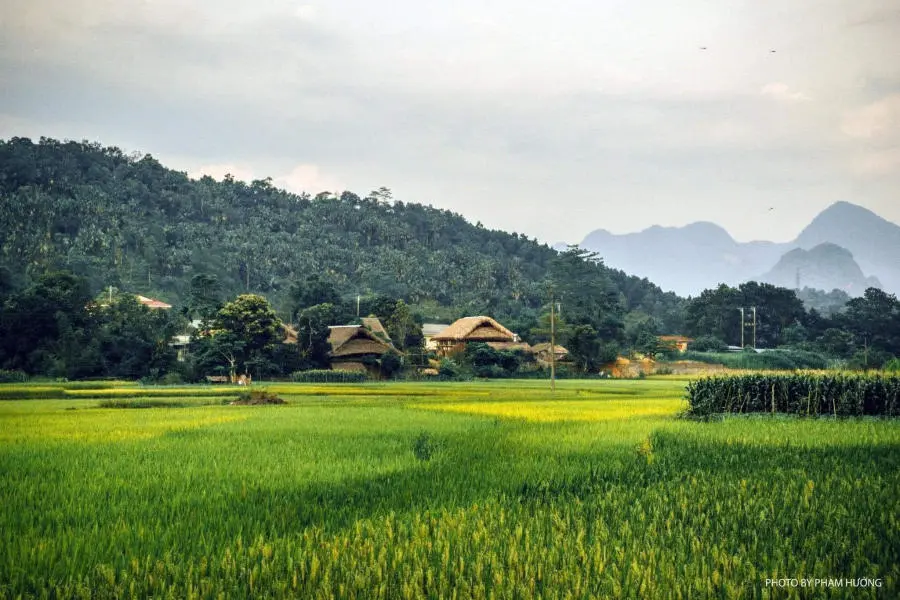 L&agrave;ng qu&ecirc; H&agrave; Giang y&ecirc;n b&igrave;nh v&agrave;o mỗi buổi chiều tr&ecirc;n cao nguy&ecirc;n đ&aacute; 7