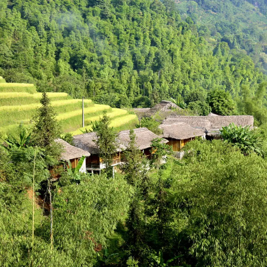 Loạn nhịp trước Ho&agrave;ng Su Ph&igrave; m&ugrave;a l&uacute;a ch&iacute;n đẹp đến nao l&ograve;ng 6