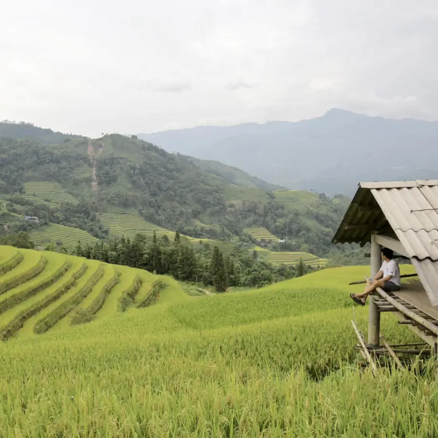Loạn nhịp trước Ho&agrave;ng Su Ph&igrave; m&ugrave;a l&uacute;a ch&iacute;n đẹp đến nao l&ograve;ng 7