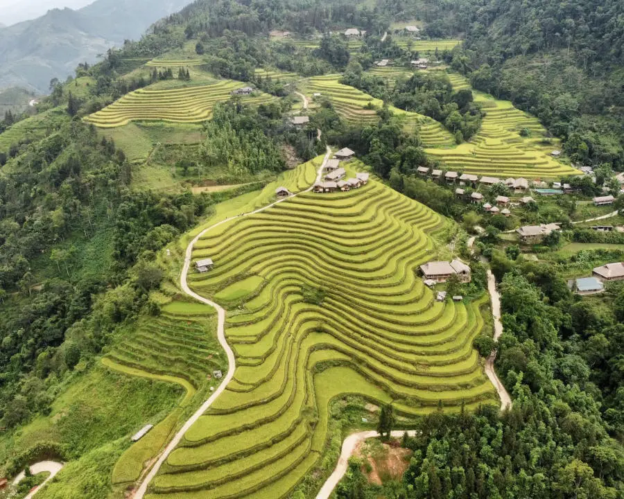 Loạn nhịp trước Ho&agrave;ng Su Ph&igrave; m&ugrave;a l&uacute;a ch&iacute;n đẹp đến nao l&ograve;ng 11