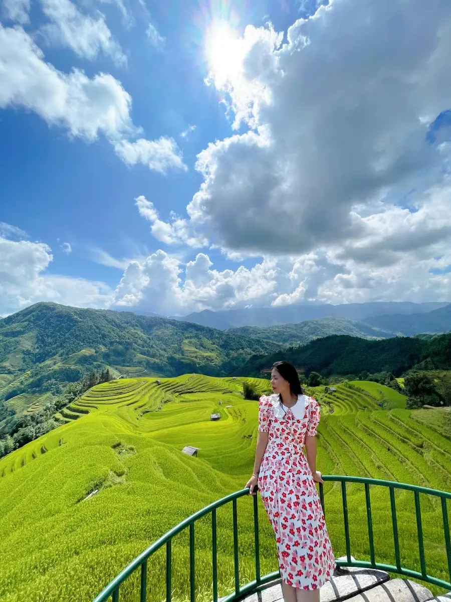 M&ugrave;a l&uacute;a v&agrave;ng ở Ho&agrave;ng Su Ph&igrave;, thời điểm khiến hội sống ảo m&ecirc; mẩn 8